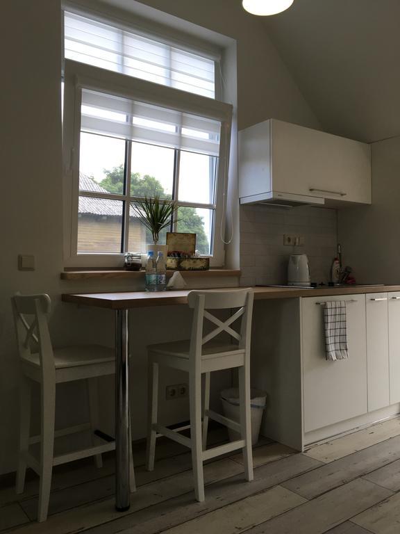 Inga Vacation House ドルスキニンカイ エクステリア 写真