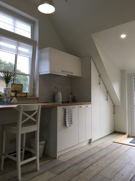 Inga Vacation House ドルスキニンカイ エクステリア 写真